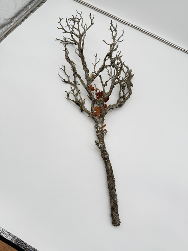 Decoratieve Kunsttak met Paddenstoelen – 90 cm